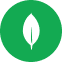 MongoDB logo icon